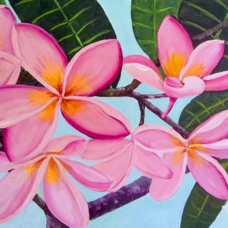 Pink Plumeria