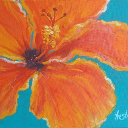 Orange Hibiscus