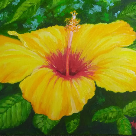 Yellow Hibiscus